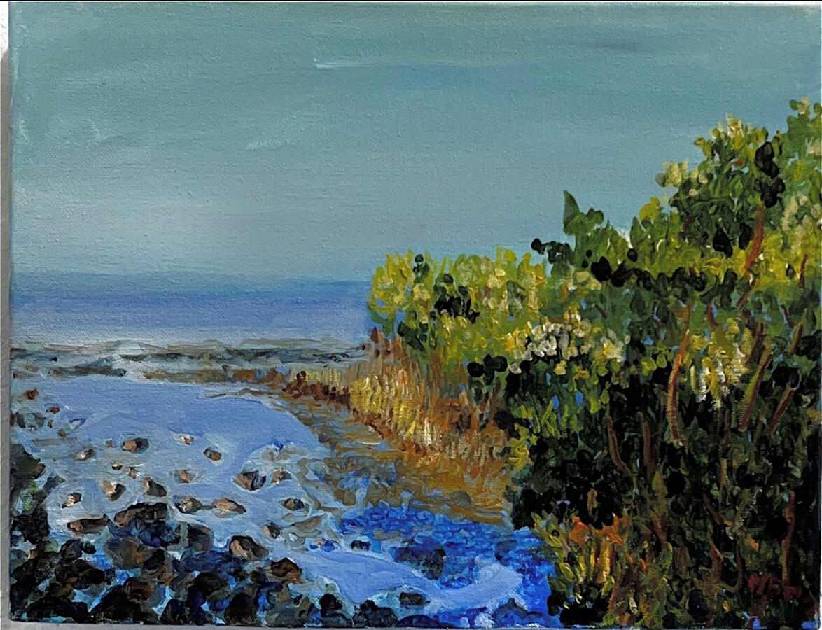 "Oil Beach Small" by Michael Shannon Davis, Oil on Canvas, 16 x 12 inches, $200 + Shipping